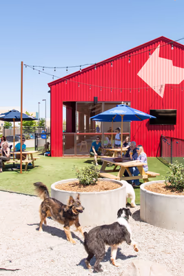 Solo's Park & Pub